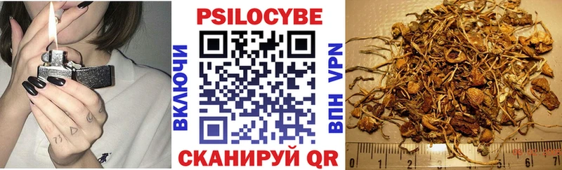 Псилоцибиновые грибы GOLDEN TEACHER  Кропоткин 